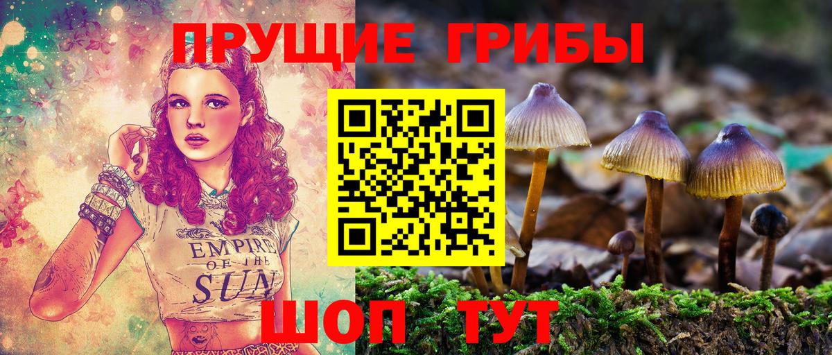 Псилоцибиновые грибы ЛСД  Вход с VPN  Холмск  Галлюциногенные грибы мицелий 