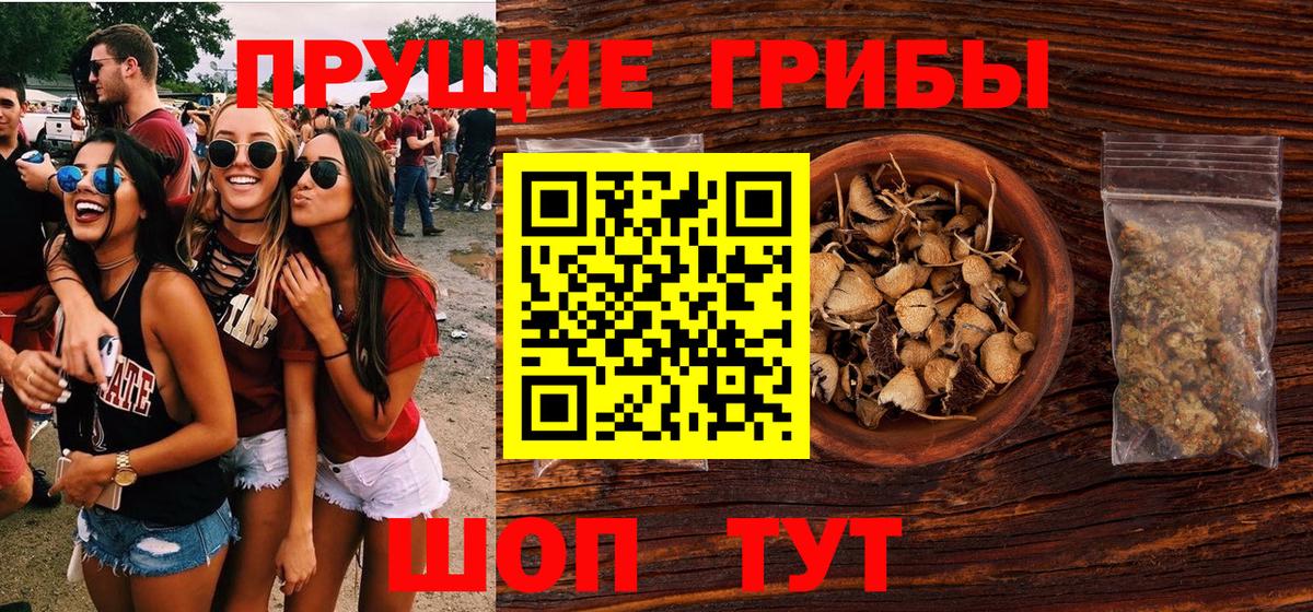 Галлюциногенные грибы Psilocybine cubensis Холмск